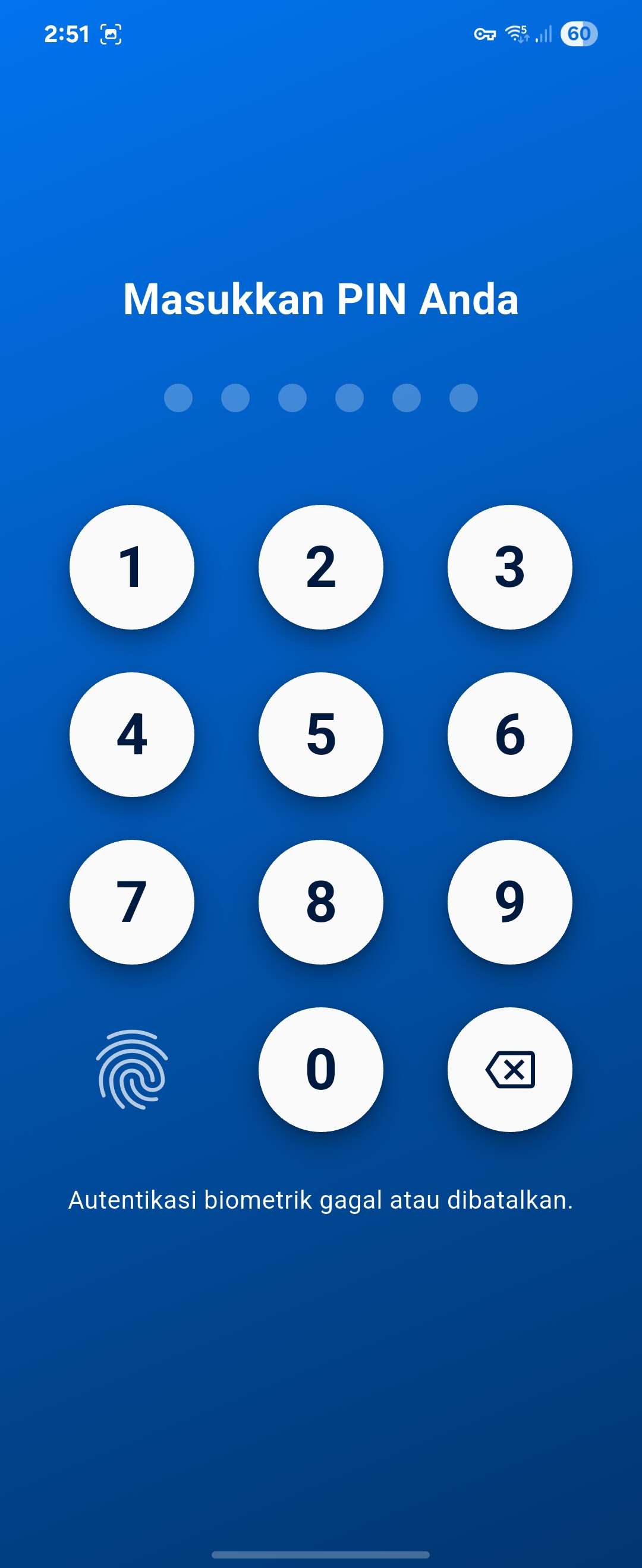 Masukan PIN Biometrik